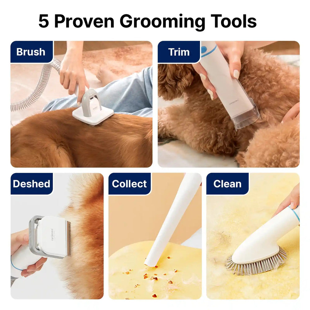 Neakasa P2 Dog Grooming Vacuum Kit met honden