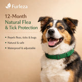 12-Month Natural Flea & Tick Protection Collar for Dogs