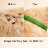 12-Month Natural Flea & Tick Protection Collar for Dogs