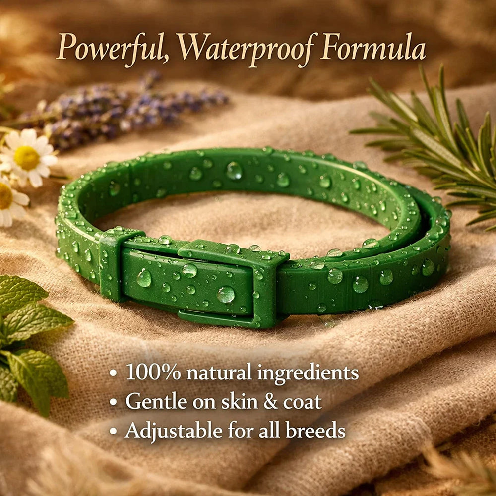 12-Month Natural Flea & Tick Protection Collar for Dogs