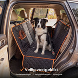 Veiligheidskenmerken: gordelopeningen en riemen