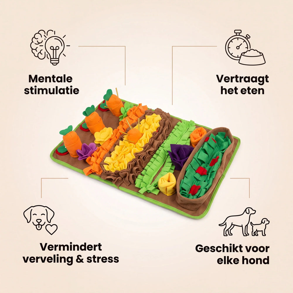 Voordelen snuffelmat: mentale stimulatie, vertraagt het eten, vermindert stress, voor elke hond