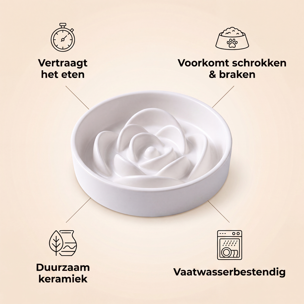 Voordelen slow feeder: vertraagt eten, voorkomt schrokken, duurzaam keramiek, vaatwasserbestendig