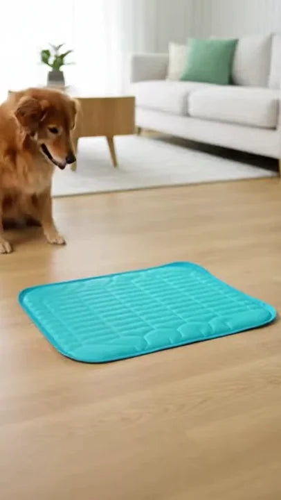 Hond ontspant op een blauwe verkoelende hondenmat